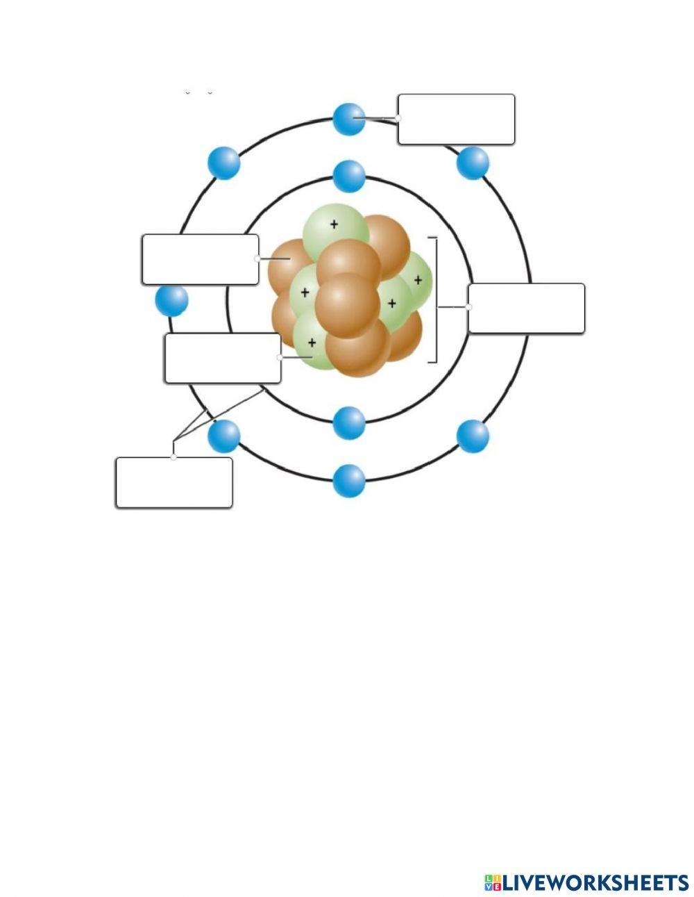 Label the atom