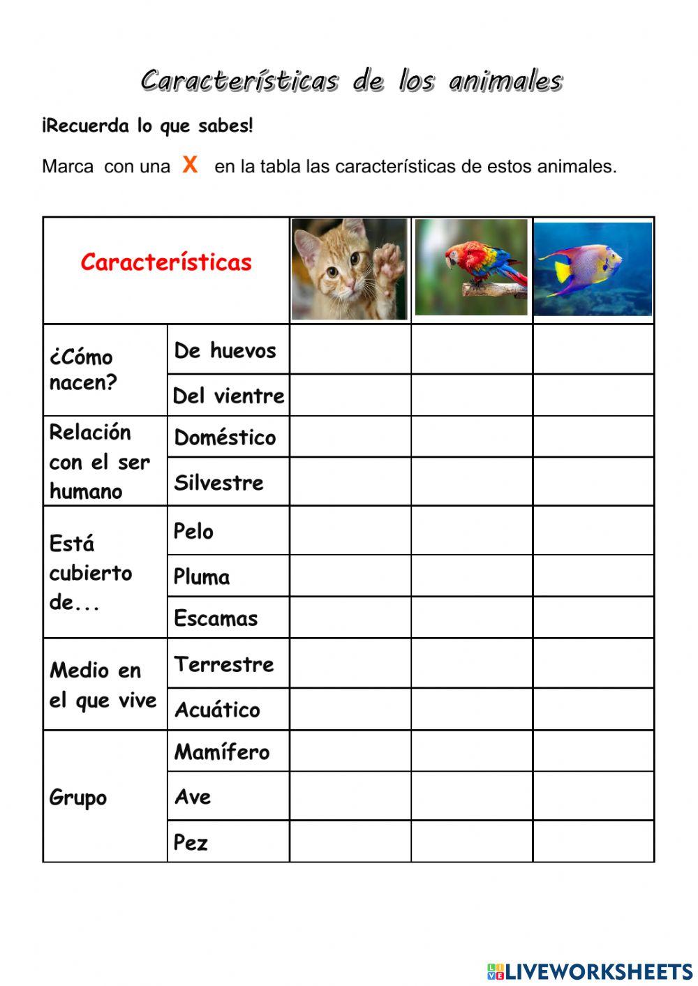 Característicad de los Animales