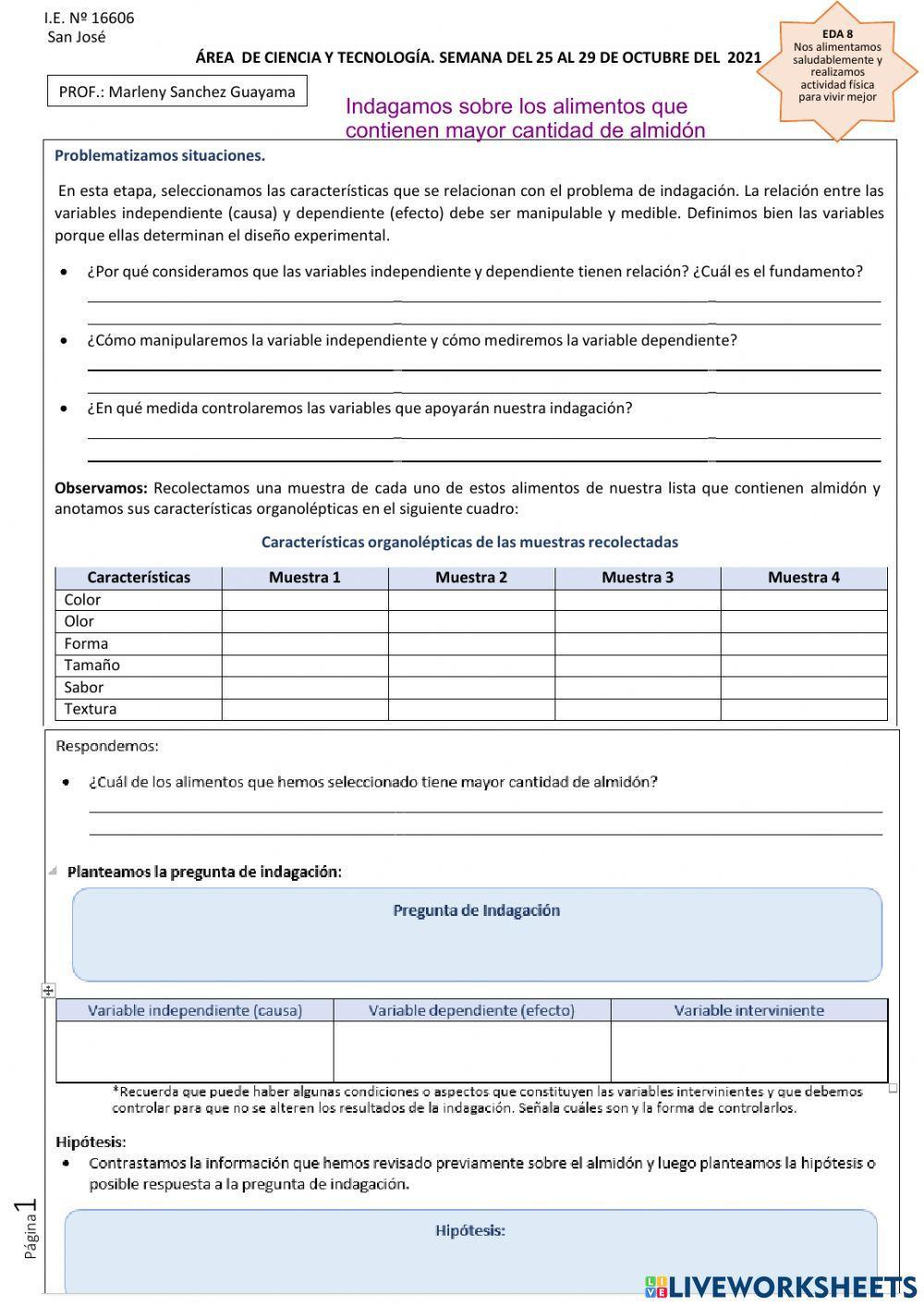 Indagamos sobre los alimentos que contienen mayor cantidad de almidón