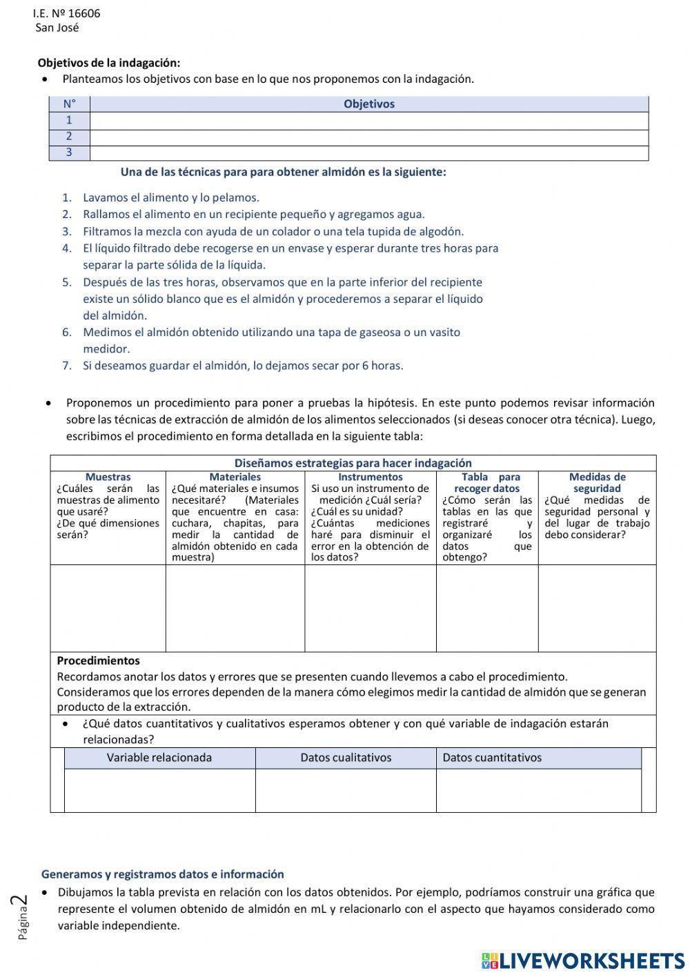Indagamos sobre los alimentos que contienen mayor cantidad de almidón
