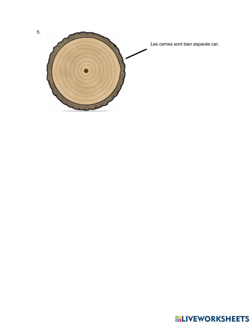 Analyser les cernes d'un arbre