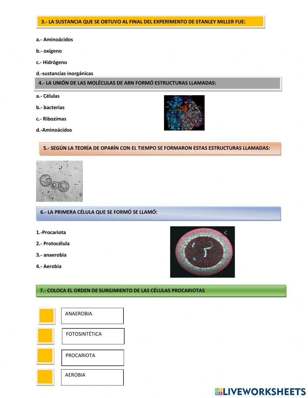 Teoria quimiosintética y endosimbiosis