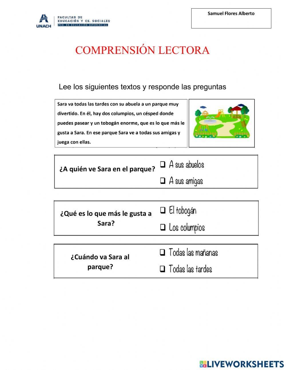 Comprensión De Textos