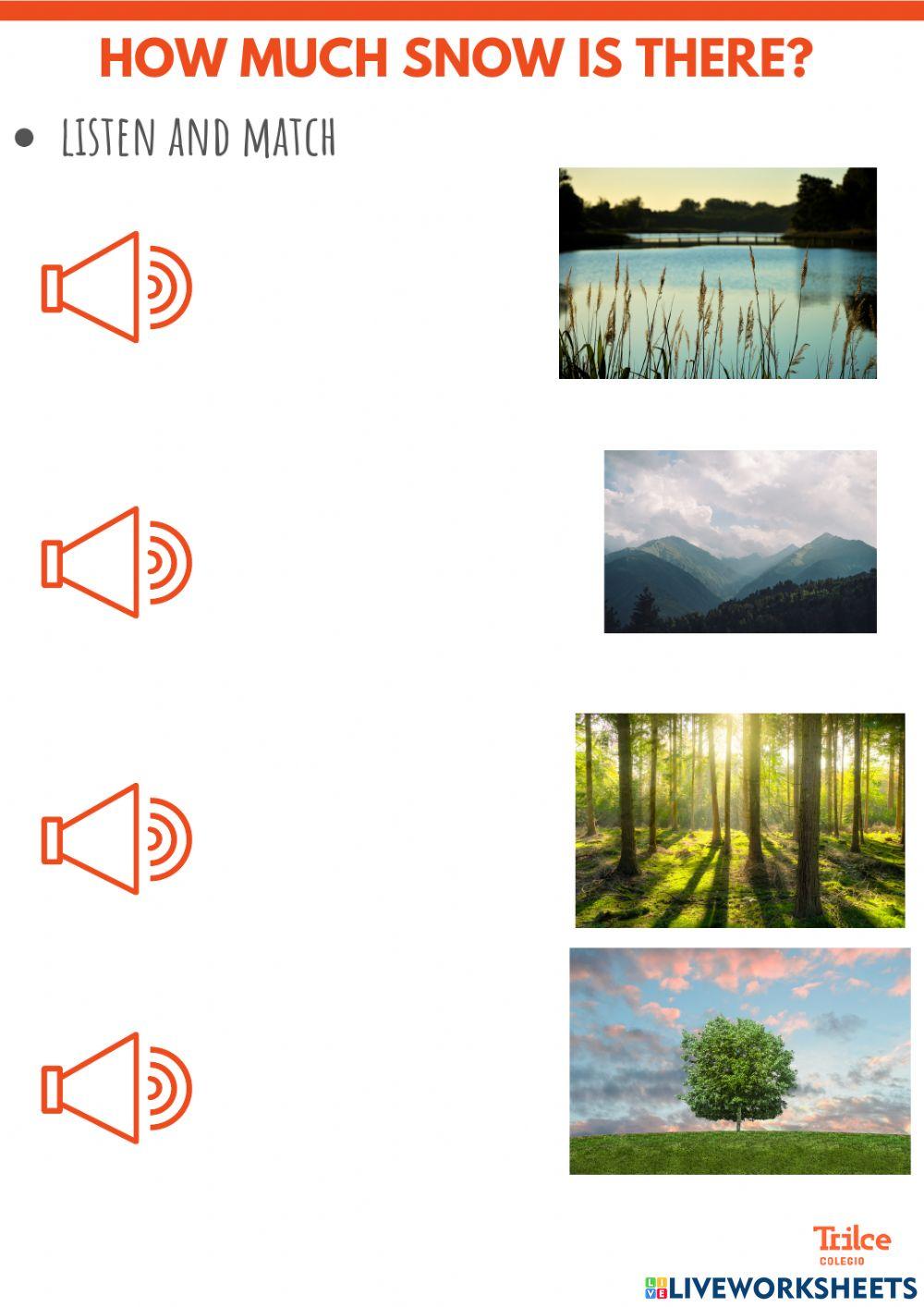 How much snow is there?