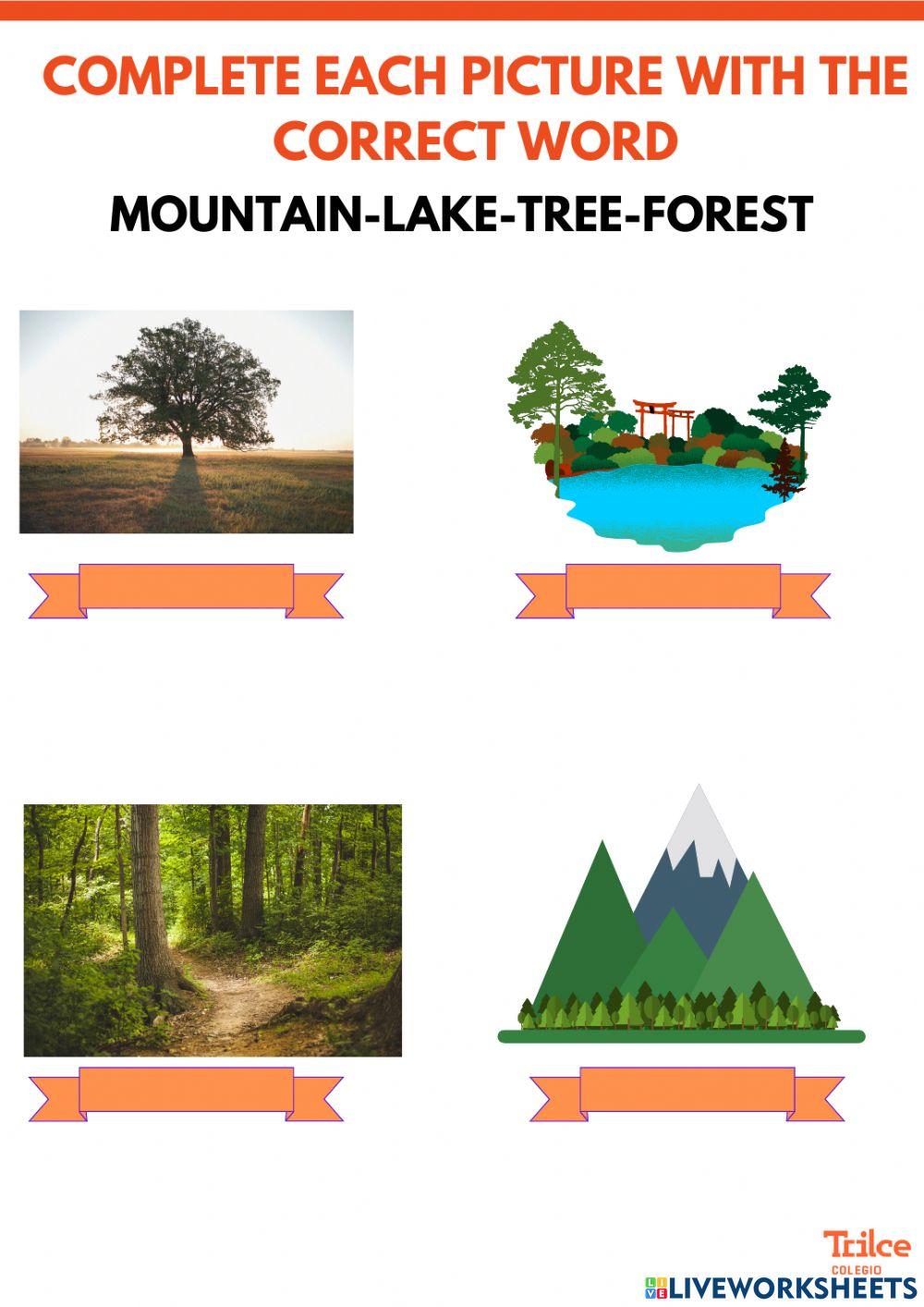 How much snow is there?