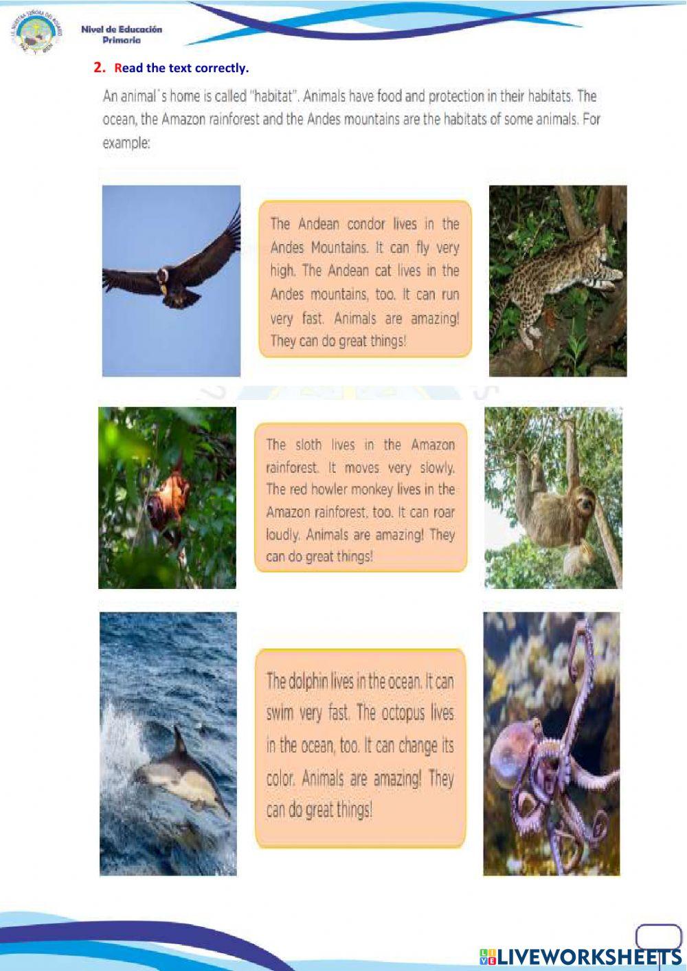Animals and their habitats