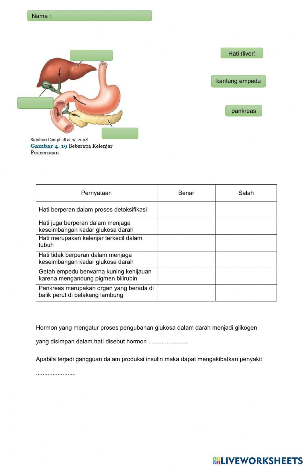 LKPD Pencernaan Tambahan