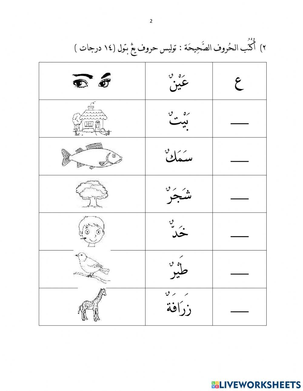 Arabic test