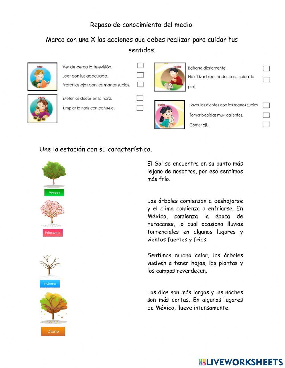 Repaso conocimiento del medio