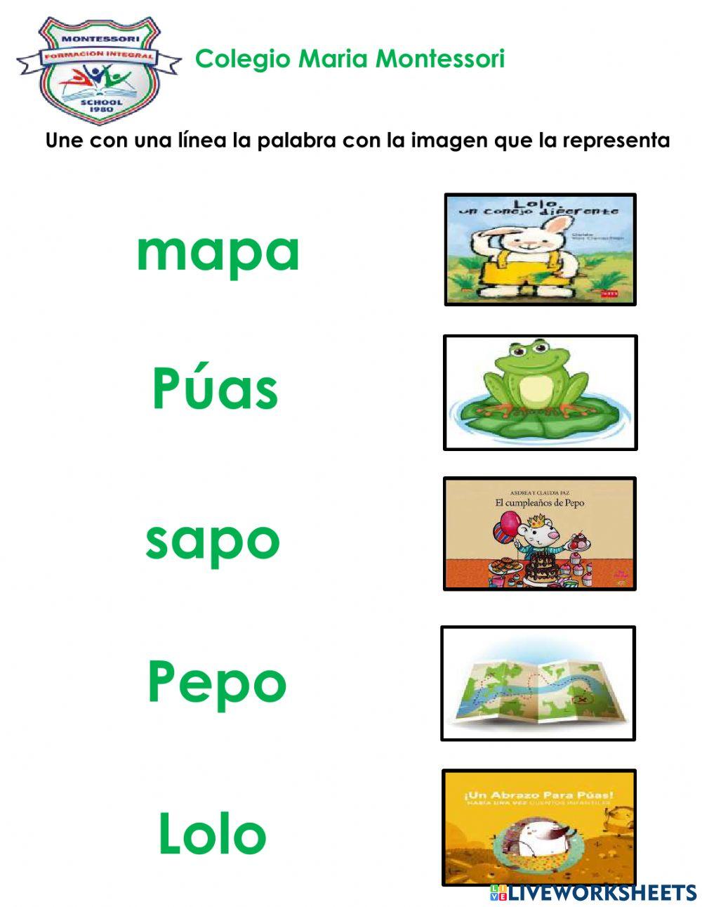 Evaluaciones mensuales