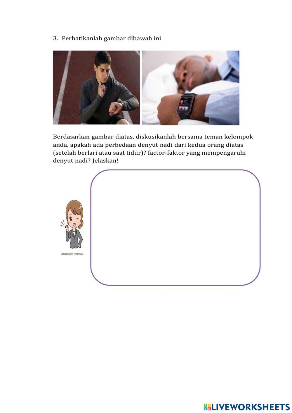 Lkpd organ peredaran darah