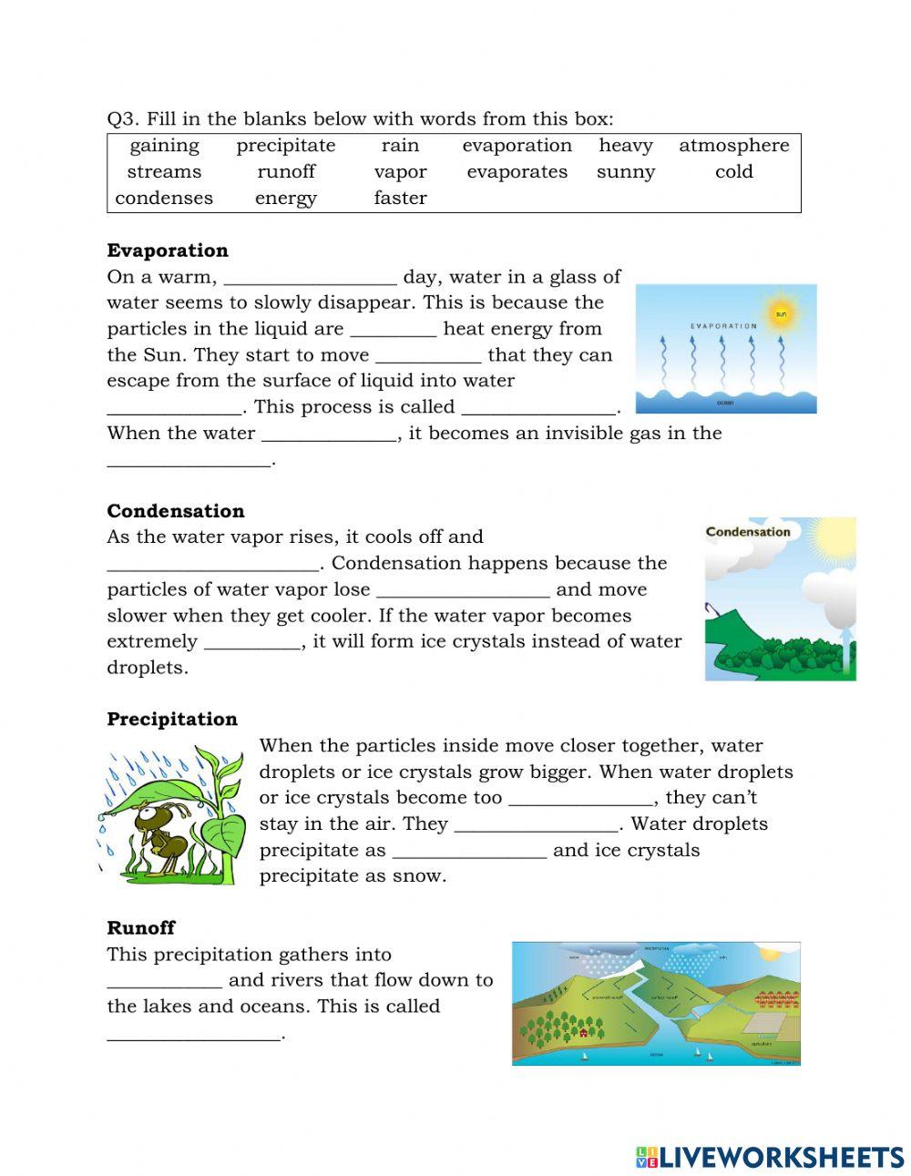 3.3 Water cycle