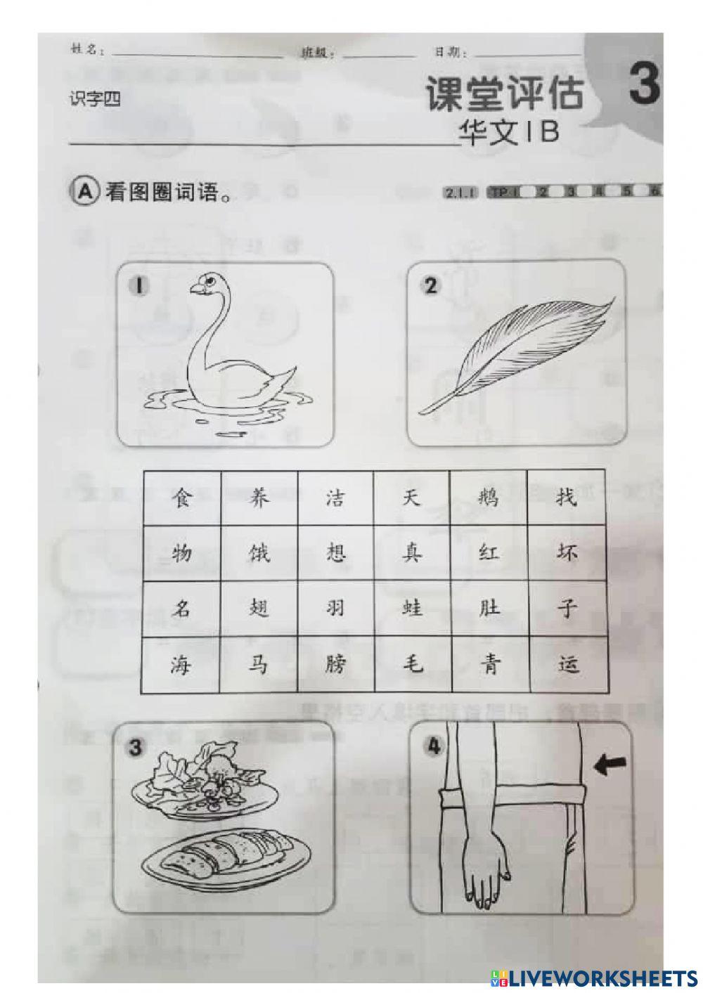 一年级 华文 评估3