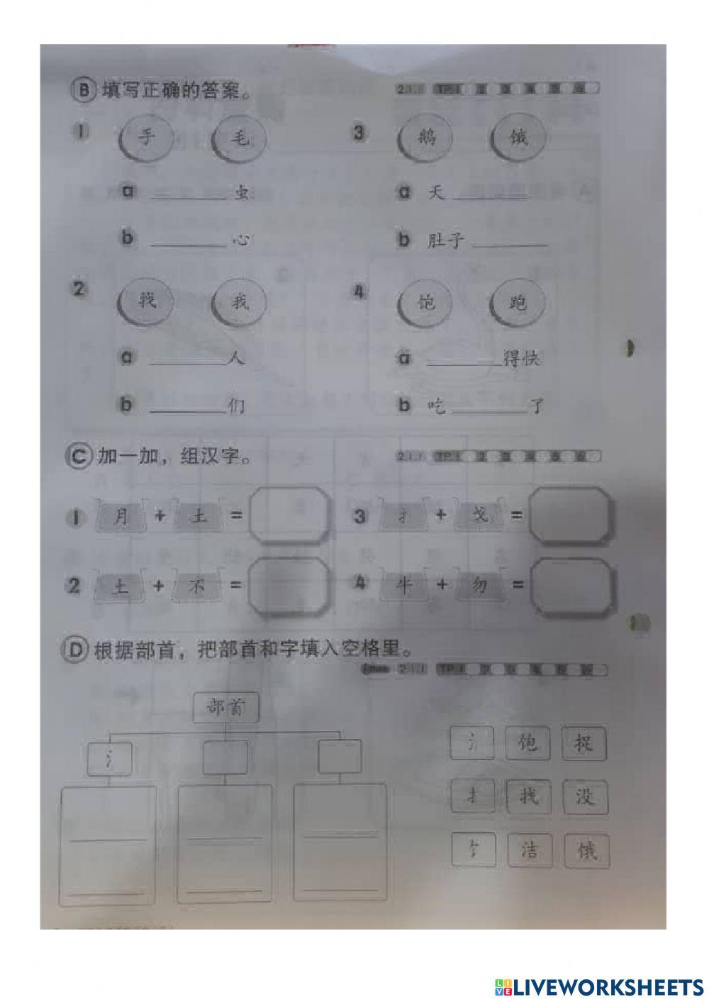 一年级 华文 评估3