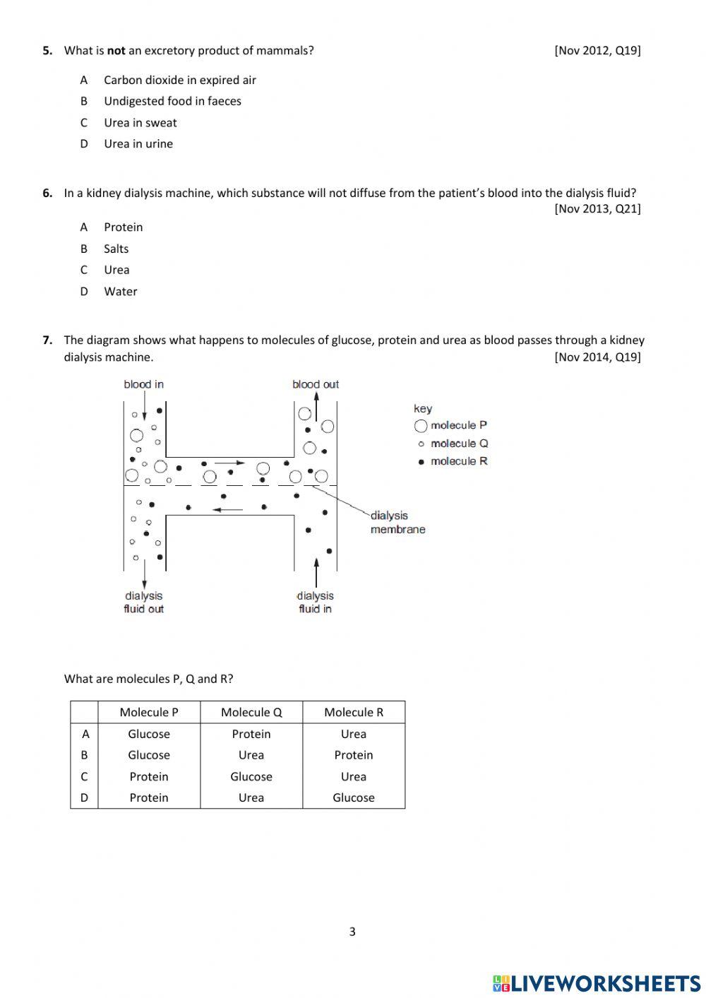 Biology - 9 Excretion