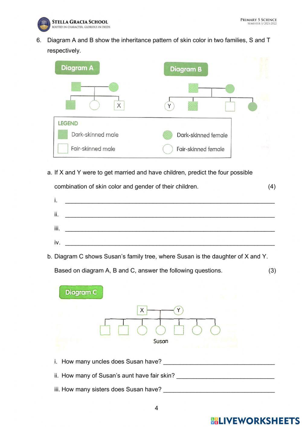 P5- Human Reproduction System