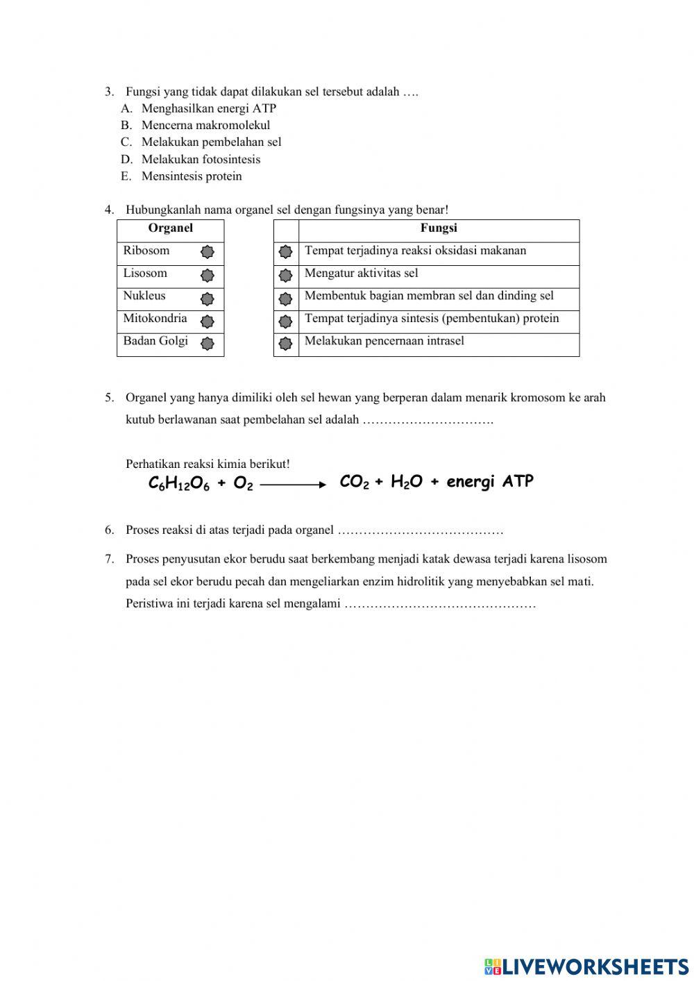 SOAL UTS SEL dan BIOPROSES