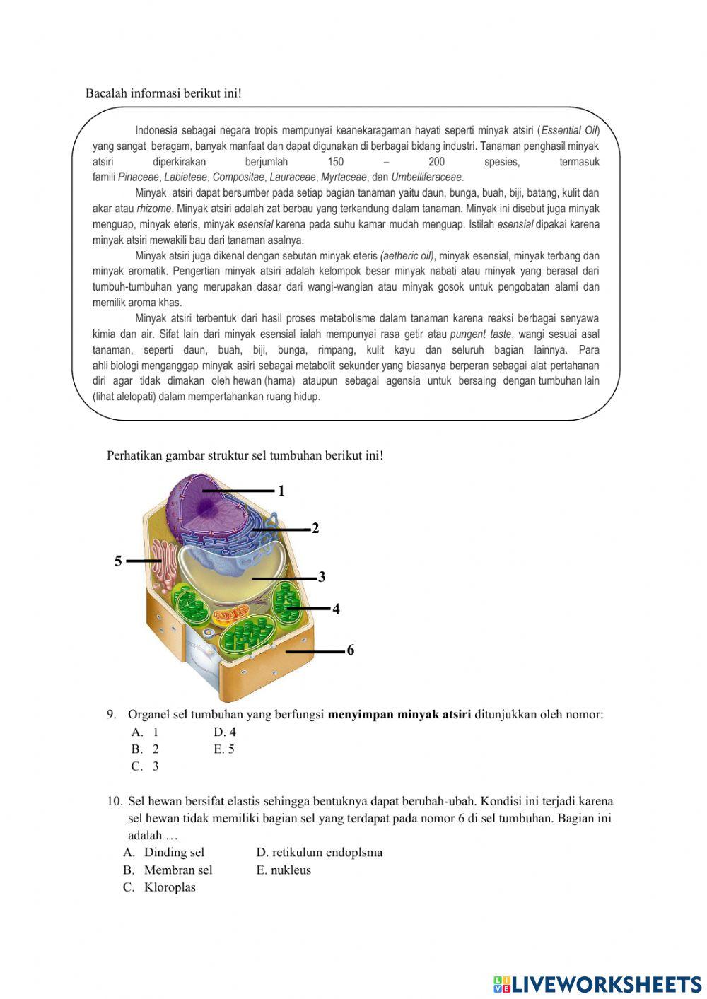 SOAL UTS SEL dan BIOPROSES