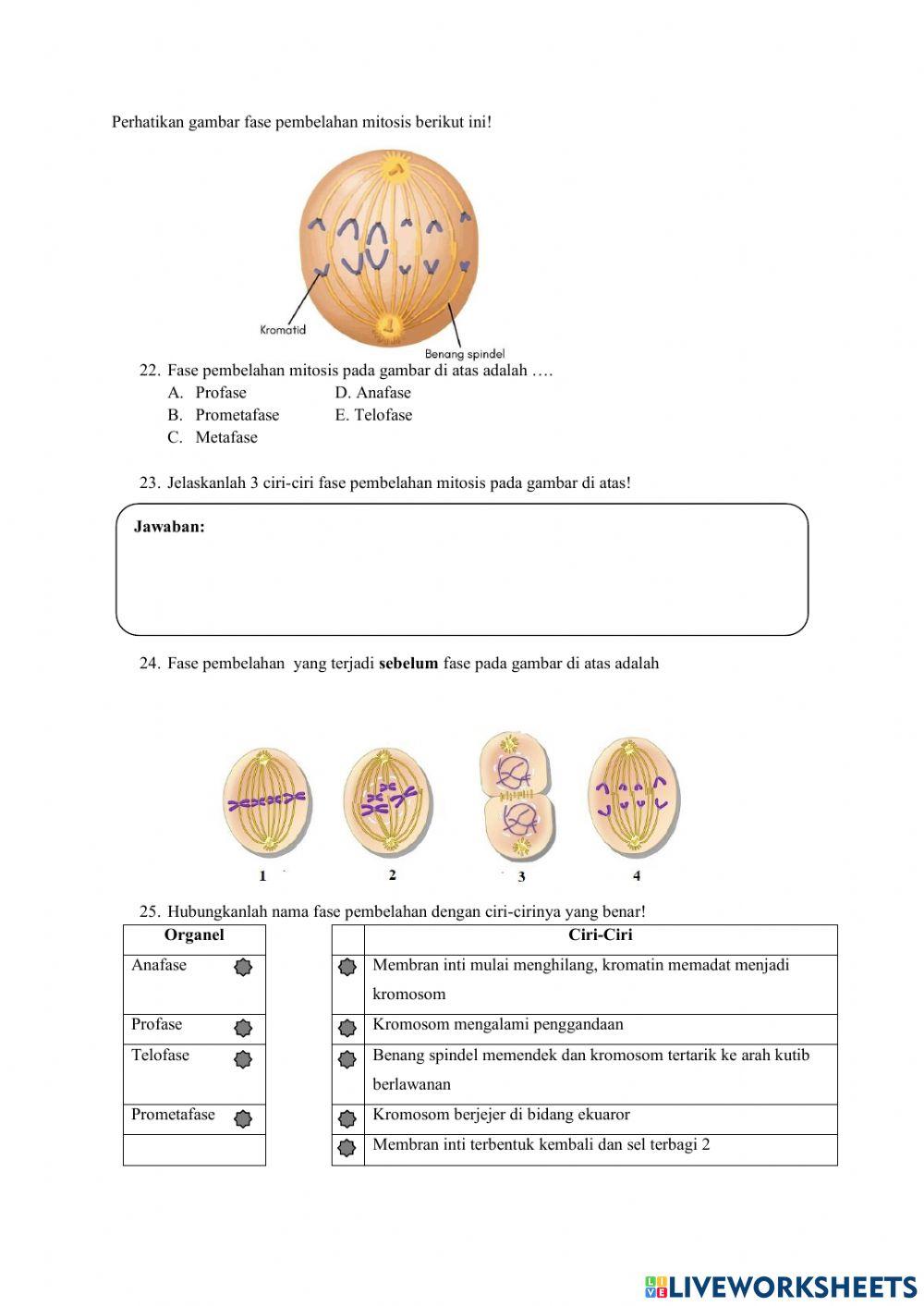 SOAL UTS SEL dan BIOPROSES