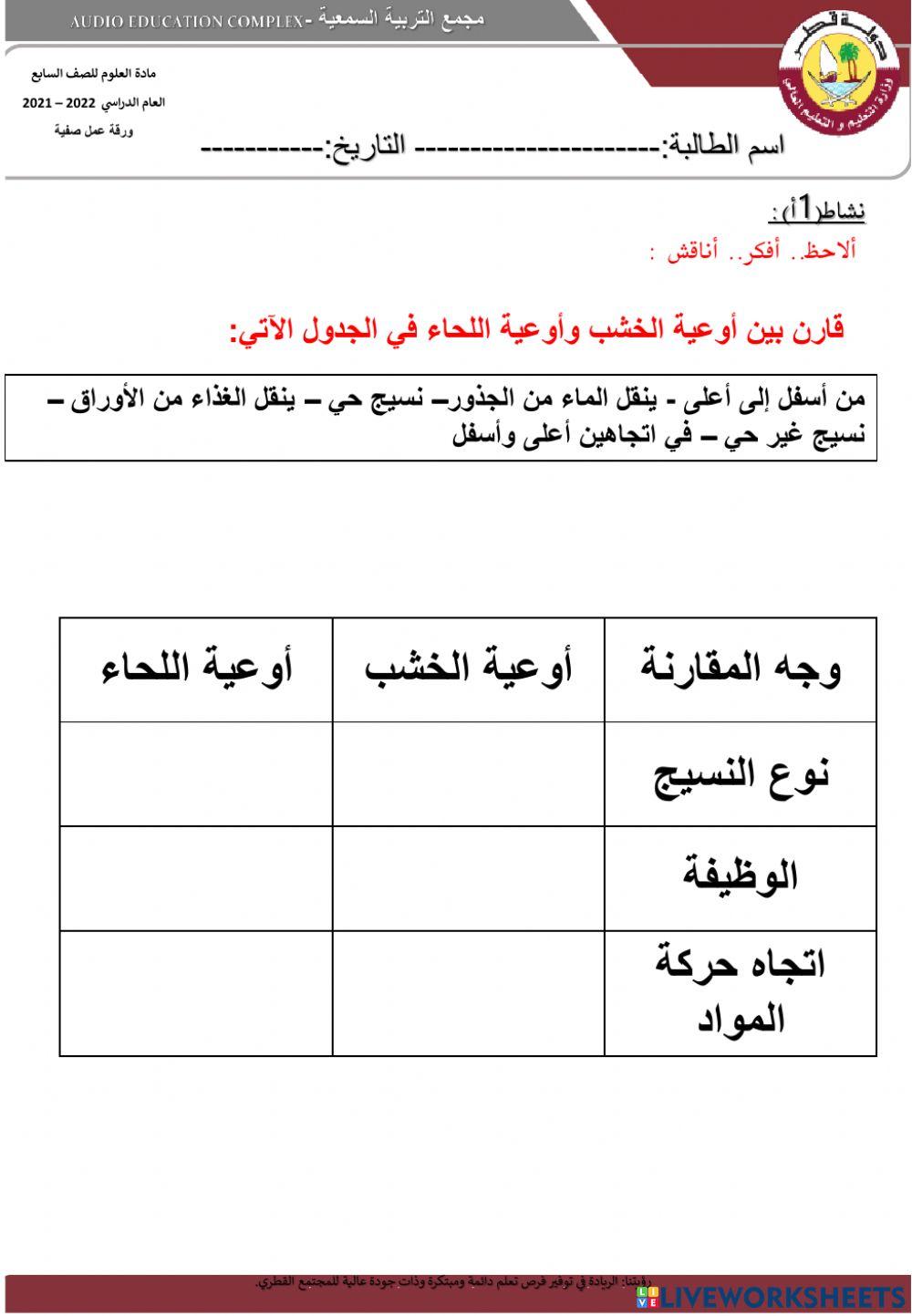 اوعية النقل