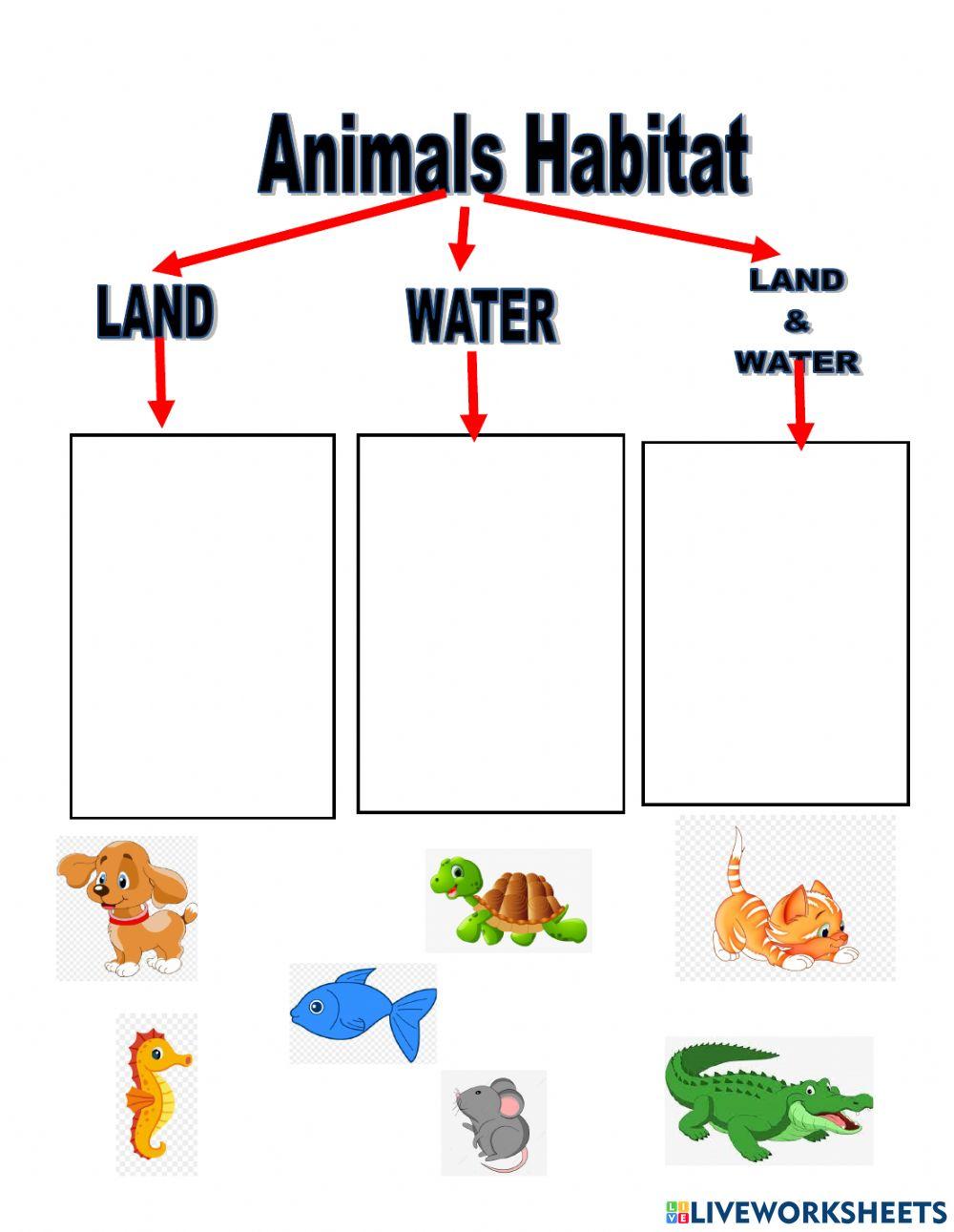 Habitat of ANimals