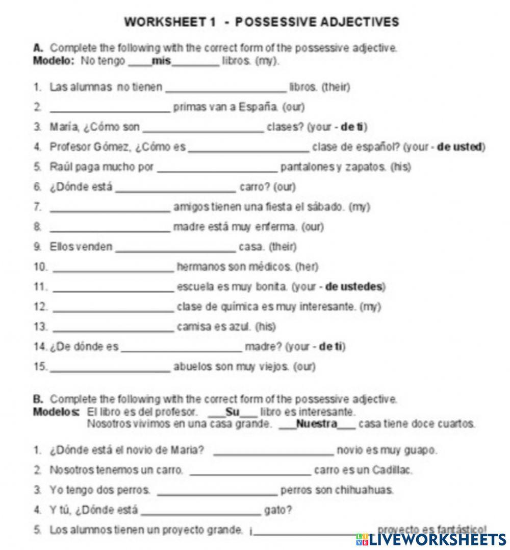 Los adjetivos posesivos 2