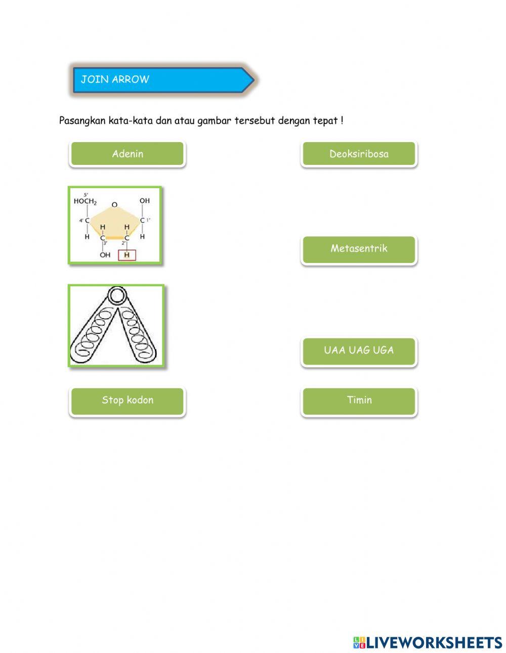 LKPD Substansi Genetika Kelas 12