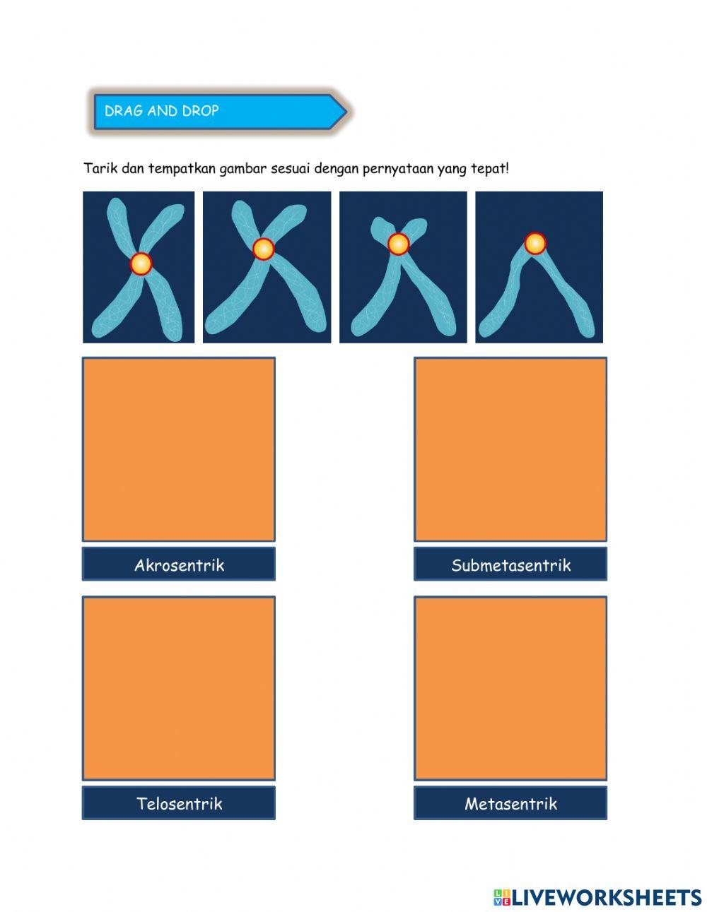 LKPD Substansi Genetika Kelas 12