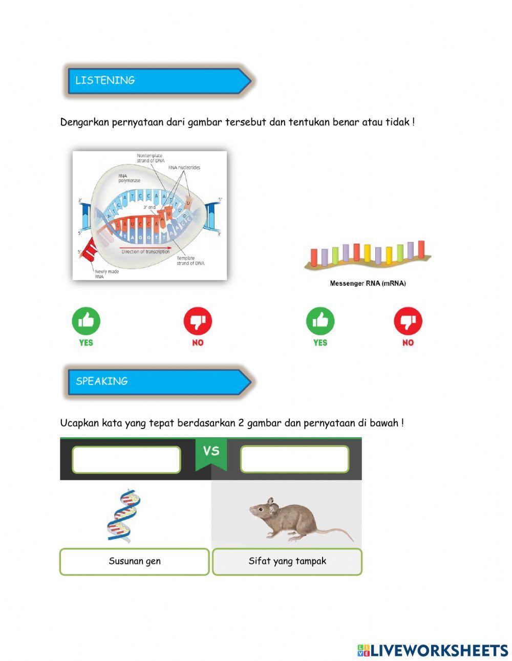 LKPD Substansi Genetika Kelas 12