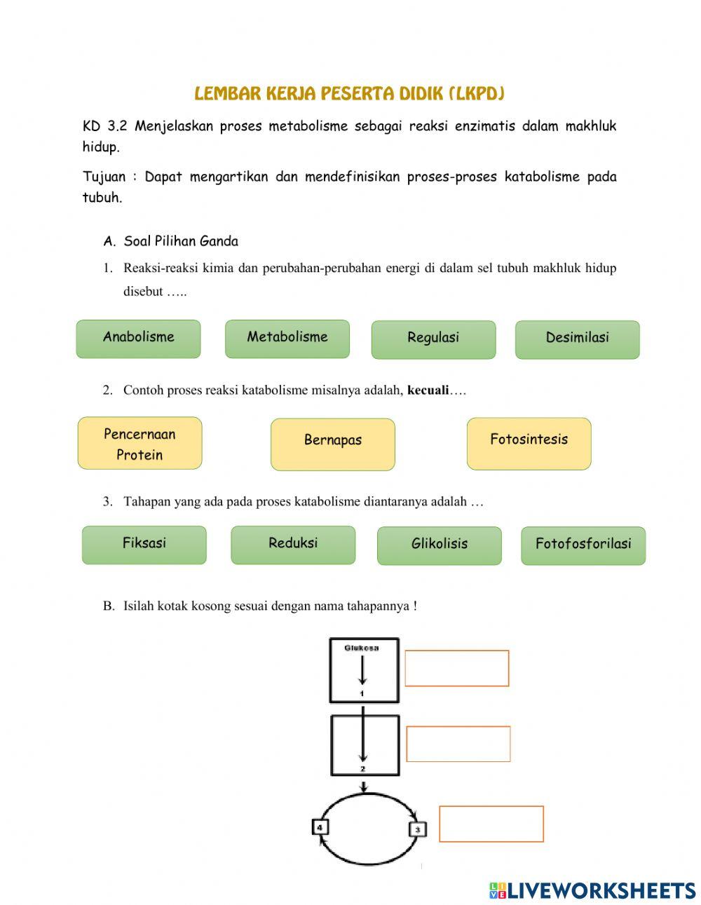 LKPD Matebolisme -Katabolisme