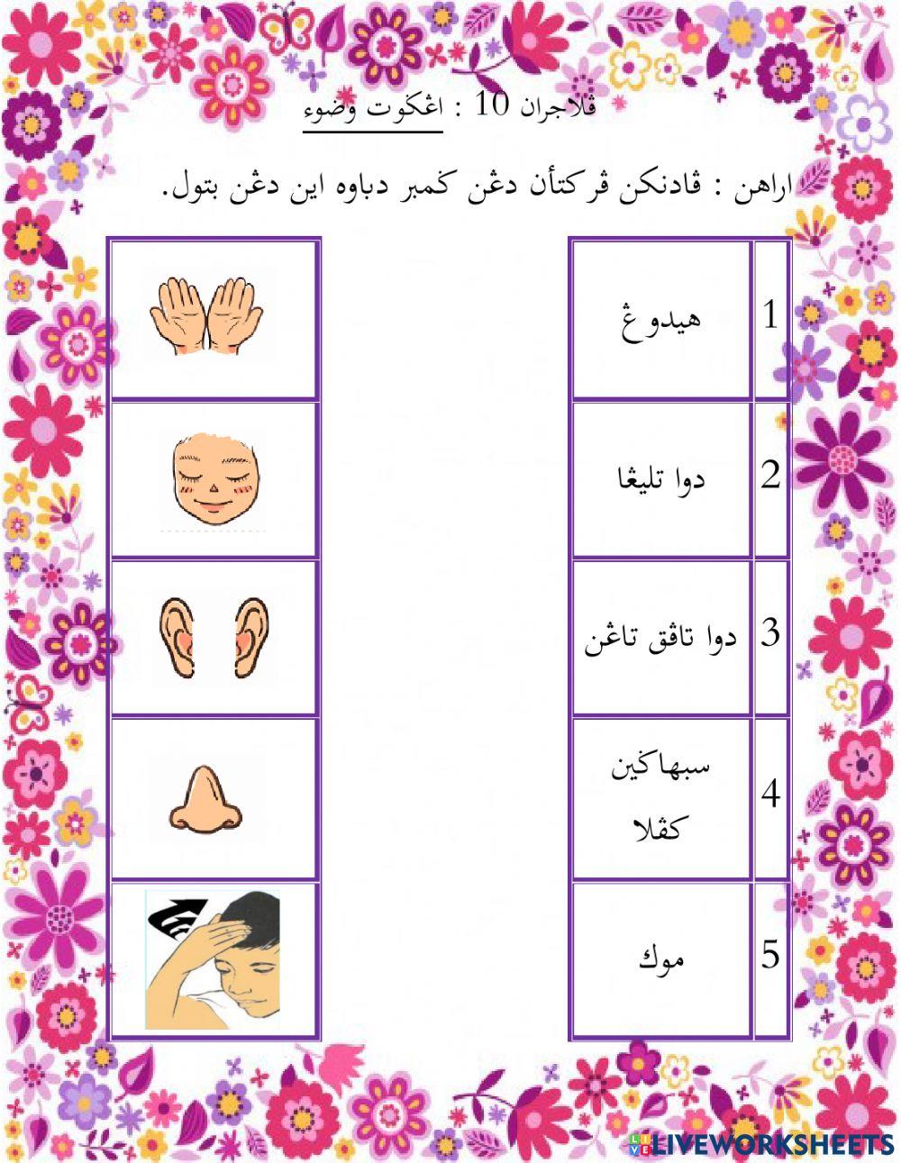 Mengenal Anggota Wudhu