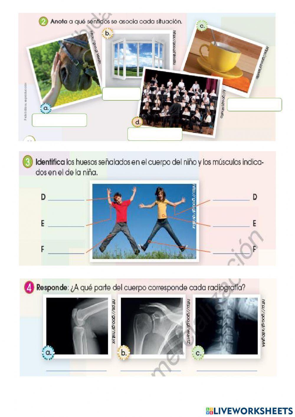 Función de relación