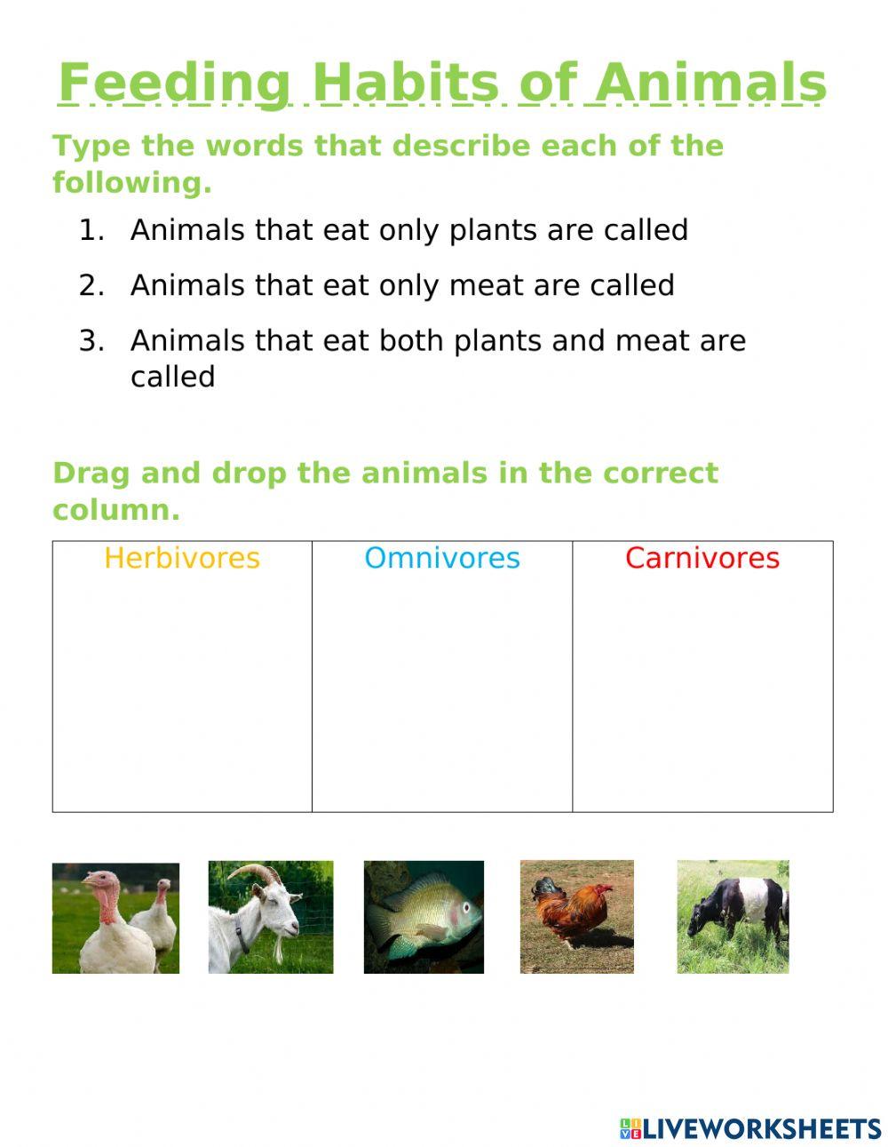 Feeding Habits of Animals