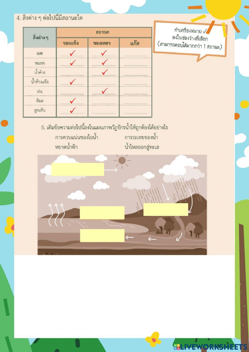 หยาดน้ำฟ้า ป.5