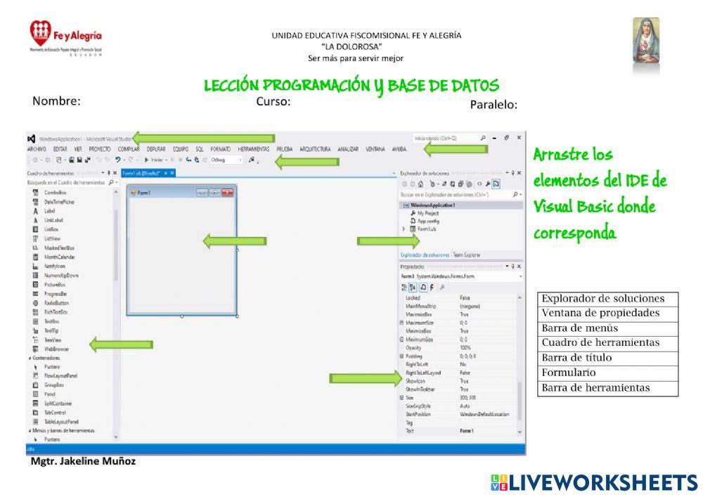 LECCIÓN IDE VISUAL BASIC 6756797 | Mgtr_Jake_Munoz