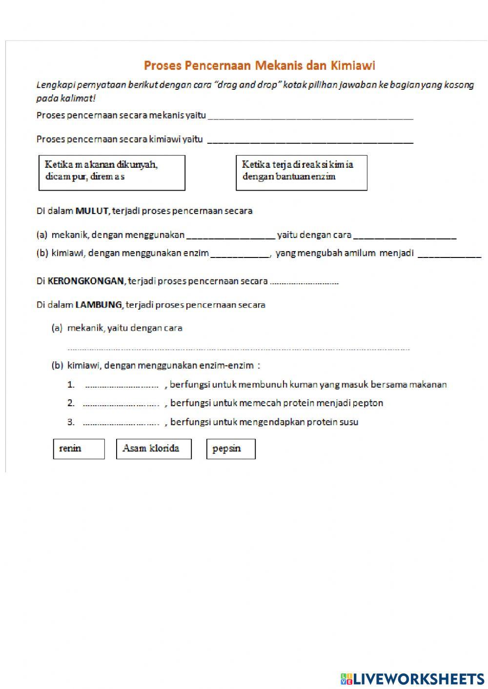 LKPD Sistem pencernaan