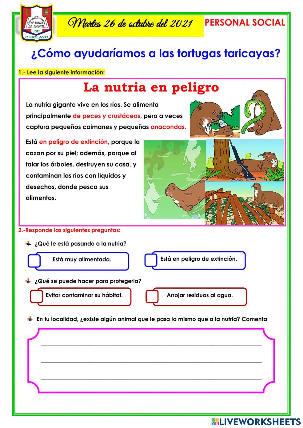 Personal social-26-10