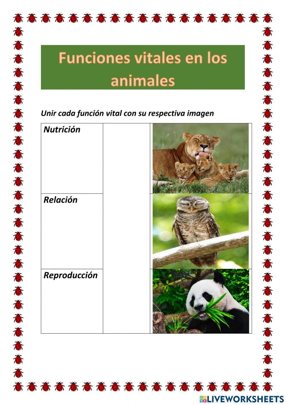 Funciones vitales en los animales