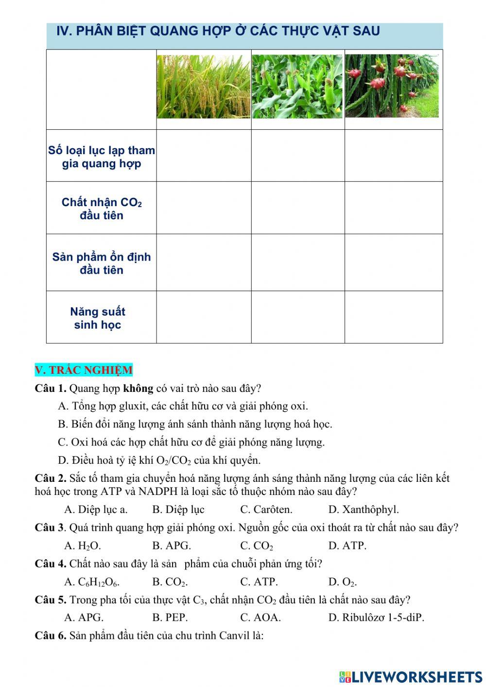 Ôn tập chủ đề Quang hợp