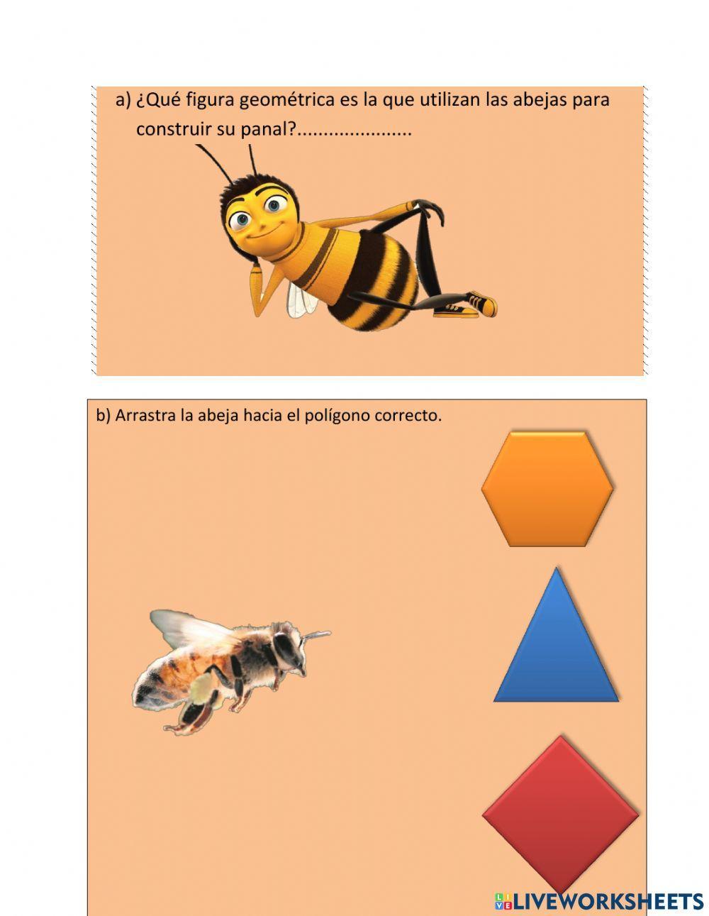 Abejas - geometría y medida