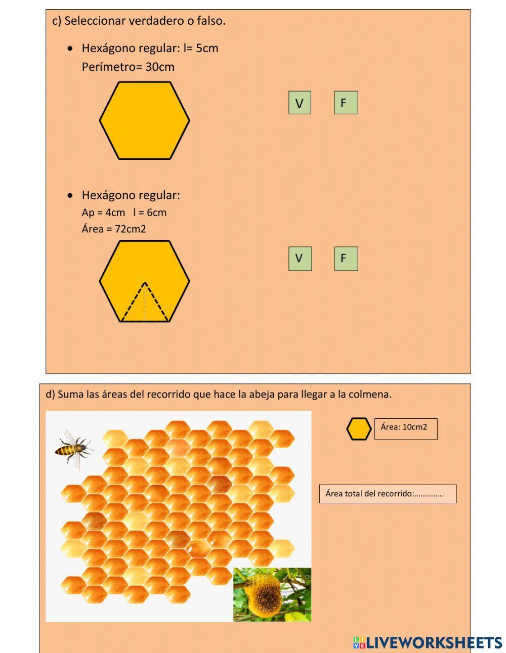 Abejas - geometría y medida
