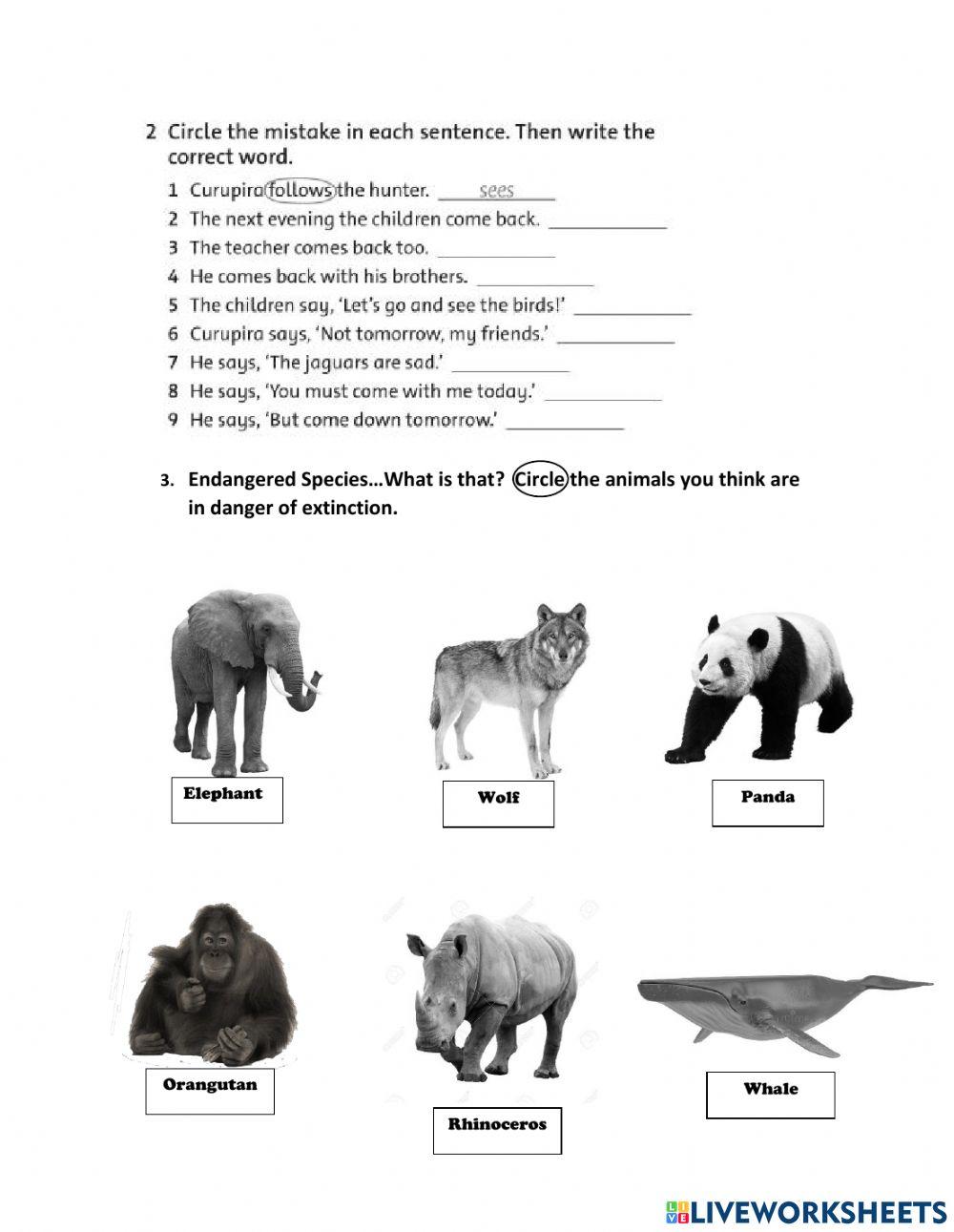 Rainforest Boy Class 2