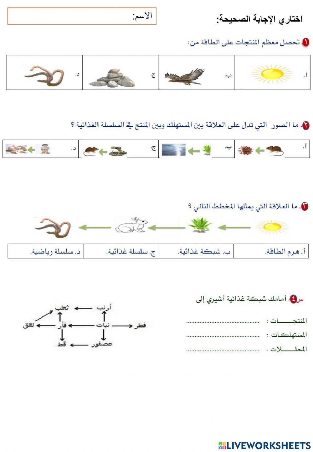 تيمزالسلاسل