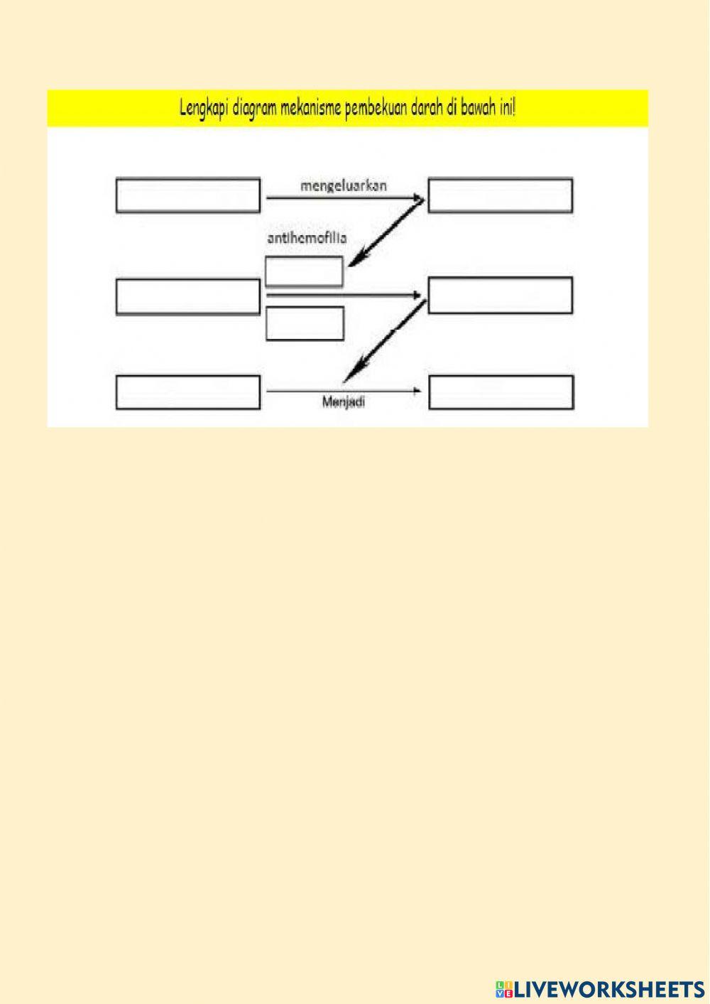 LKPD Sistem Peredaran Darah