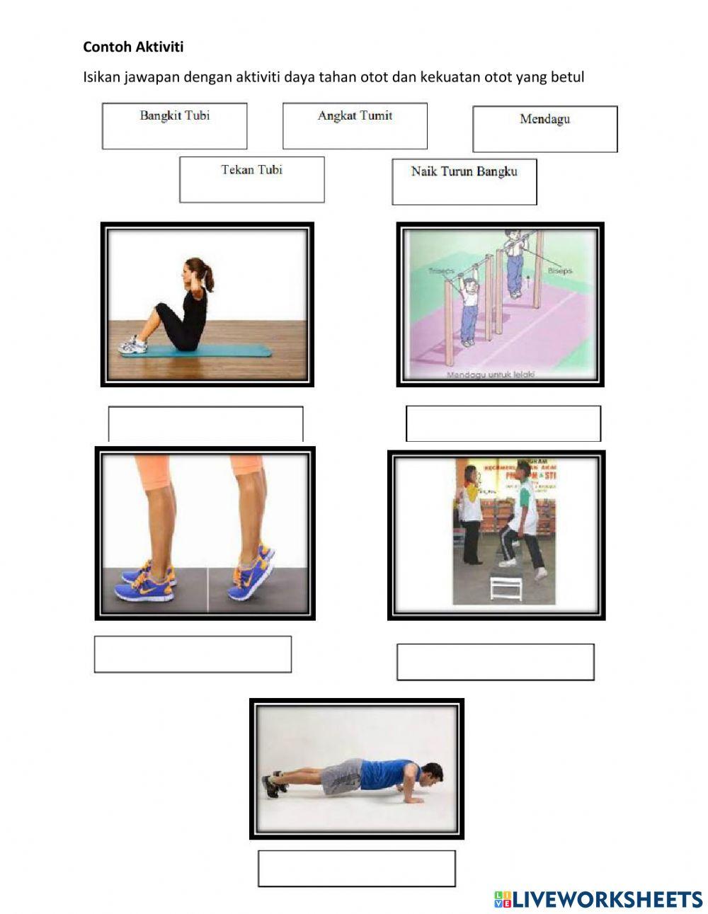 Daya Tahan dan Kekuatan Otot