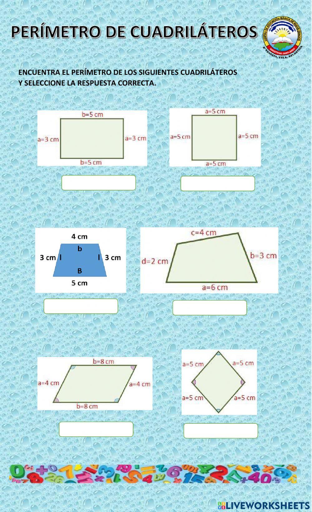 Perímetro de cuadriláteros quinto grado