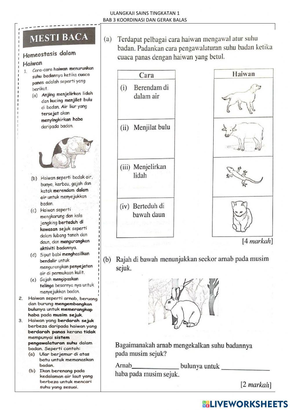 Koordinasi dan gerak balas