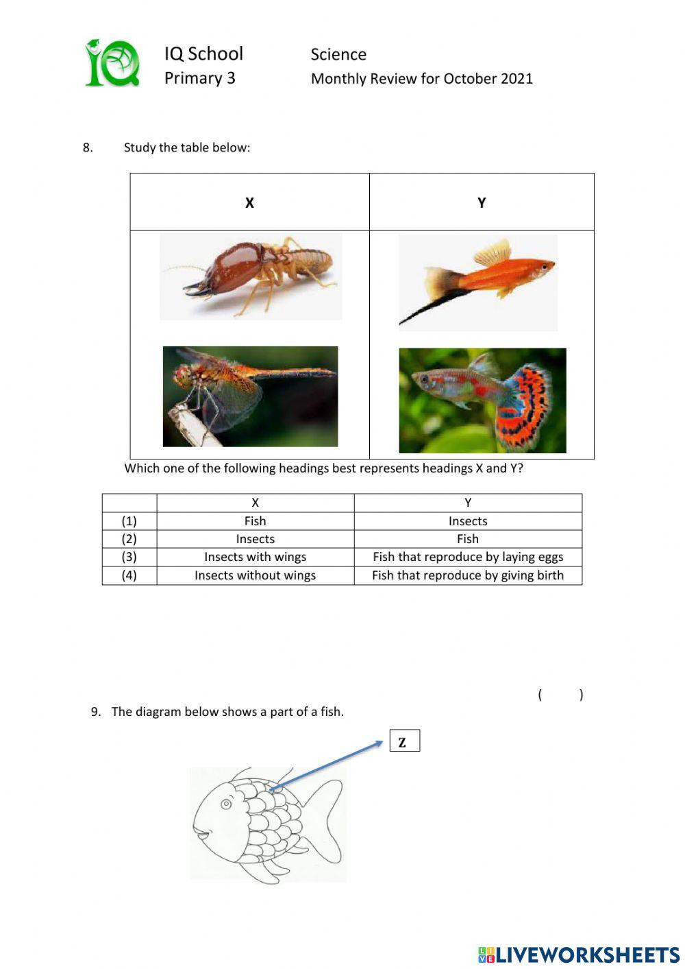 P3 Monthly Review for the month of October
