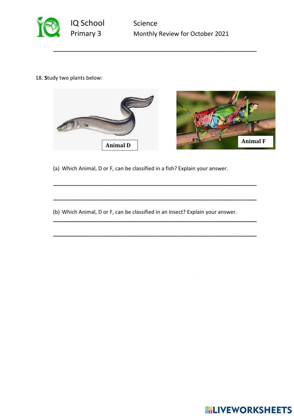 P3 Monthly Review for the month of October