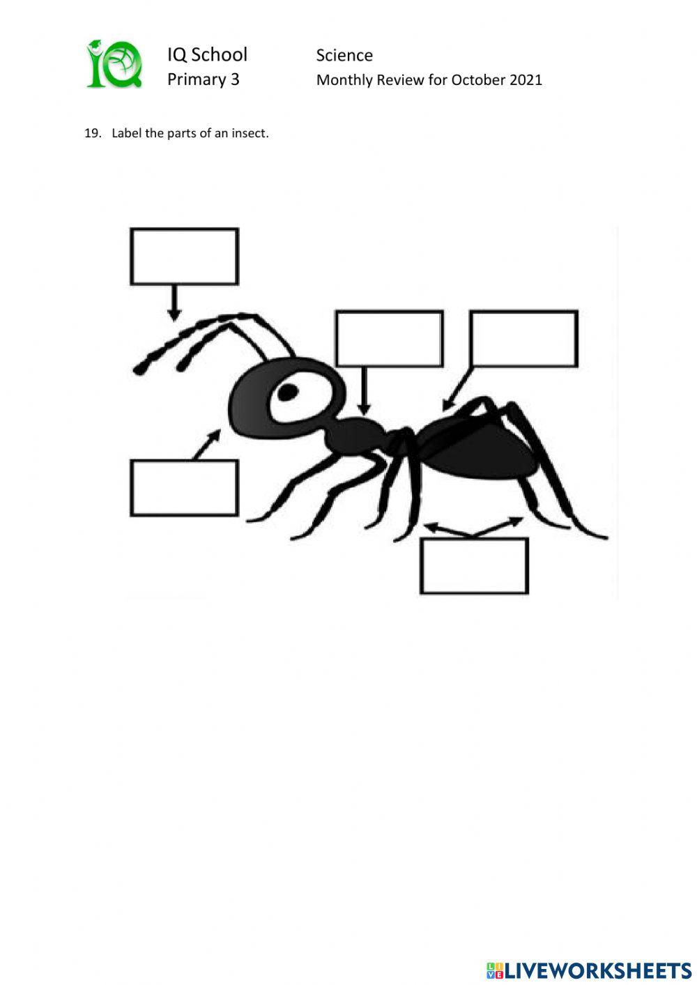 P3 Monthly Review for the month of October